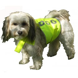 Veste de sécurité pour chien